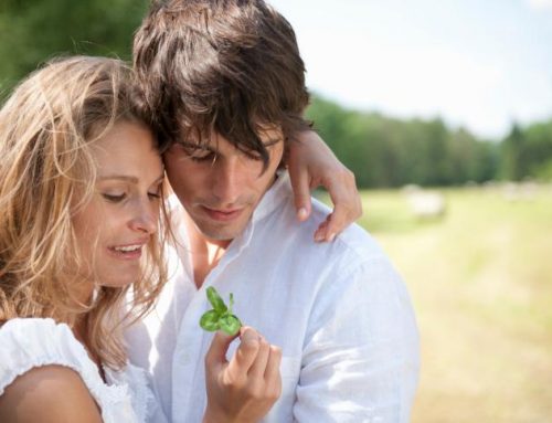 Single küchenzeile oder singleküche Luxus miniküche